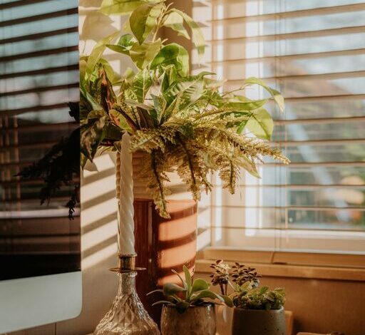 Tips for Creating a Relaxing Home Office Environment